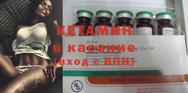 твердый Богданович