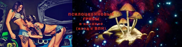 mdpv Богородицк