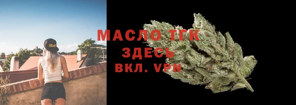 твердый Богданович