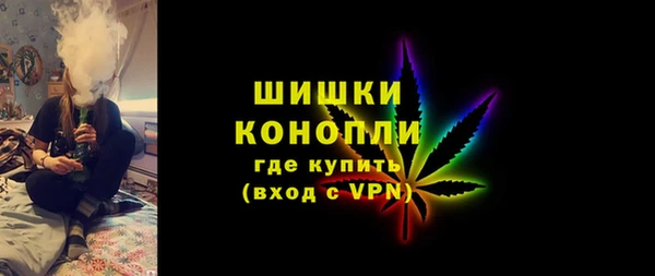 mdpv Богородицк