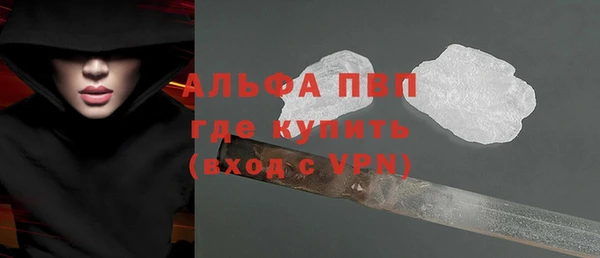 твердый Богданович