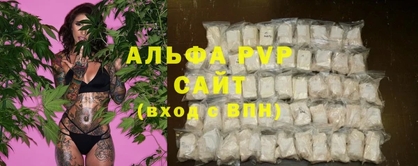 mdpv Богородицк