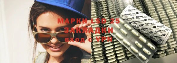 mdpv Богородицк