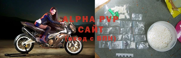 твердый Богданович