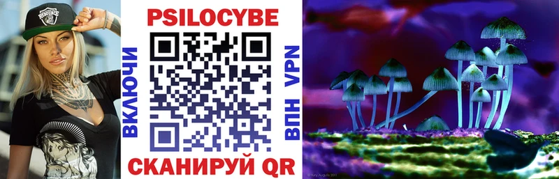 Псилоцибиновые грибы Psilocybine cubensis  Сретенск 